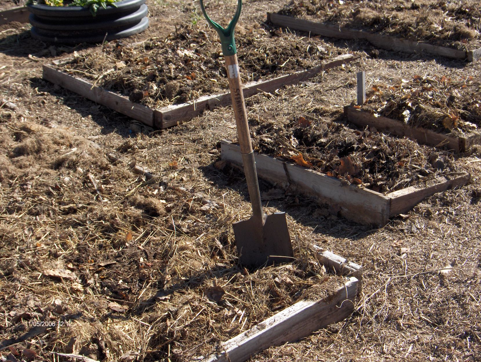 101318 Garden bed mulched for the winter.JPG